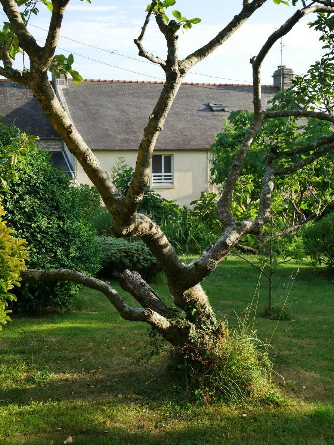 Chambres D'Hotes Kerioret Izella Kerlaz Eksteriør bilde